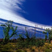 Takeshi Namba Photo Exhibition "Panoramic Australia"